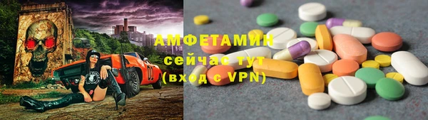 молекула духа Алексеевка