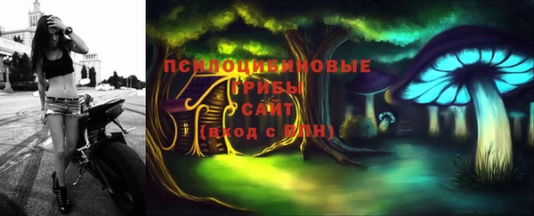 молекула духа Алексеевка