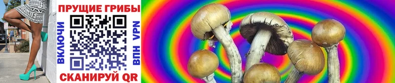 Псилоцибиновые грибы Psilocybe  Находка 